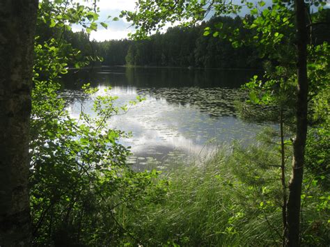 Nuuksio National Park - Hiking Trails, Maps, Sights, Information and Wildlife | Alper