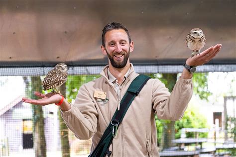 Hawk Conservancy Trust | Day Out With The Kids