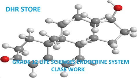 GRADE 12 LIFE SCIENCES CLASS WORK ON HUMAN ENDOCRINE SYSTEM • Teacha!