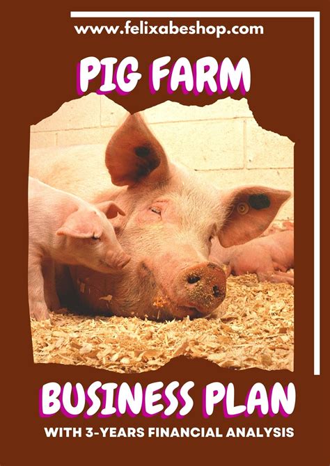 PIG FARM BUSINESS PLAN - FelixAbeShop