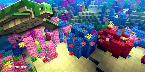 How To Find Coral Reefs In Minecraft