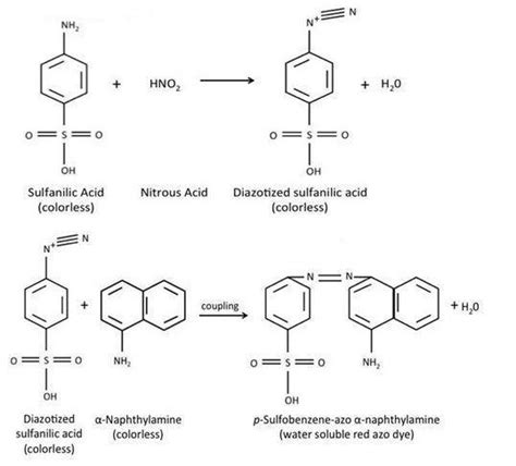 Nitrate Reduction Test: Principle, Procedure, Results • Microbe Online