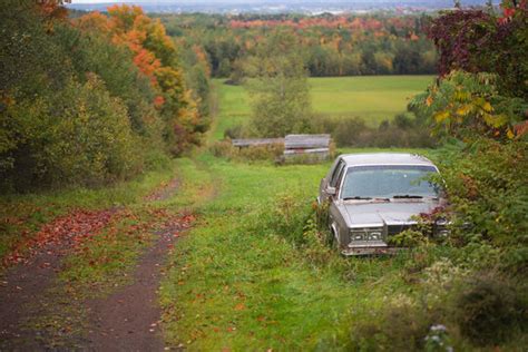 "Corduroy Road" Images – Browse 598 Stock Photos, Vectors, and Video | Adobe Stock