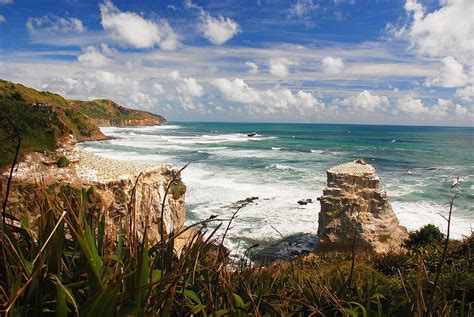 Gannet colony at Muriwai | Stefan Marks | Flickr