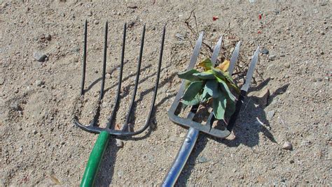 At Home: Spading fork is must-have gardening tool