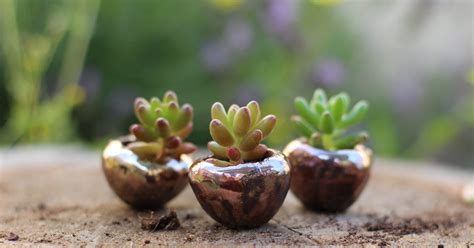 Mini Succulents | Say Thanks With These 21 Affordable Bridal Shower ...