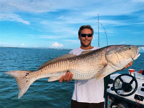 Red Drum Fishing on the Outer Banks of North Carolina