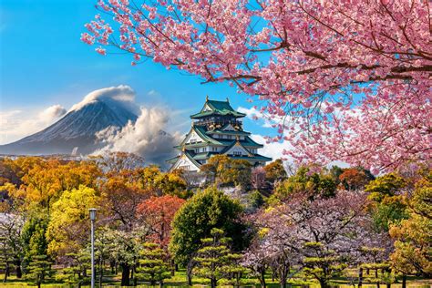 10 Day Ultimate Japan Tour Package - Tourist Journey