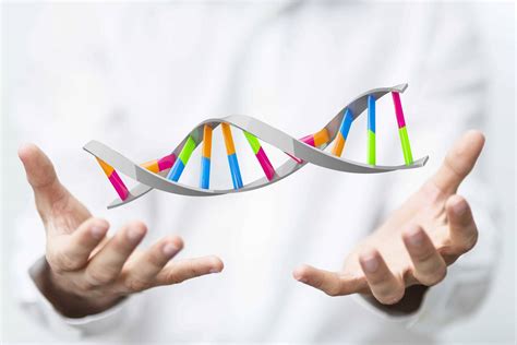 Custom oligo synthesis | Invitek Diagnostics