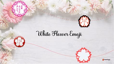 💮 white flower emoji