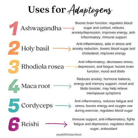 The Best Adaptogens for Health and Vitality - Uplift Fit