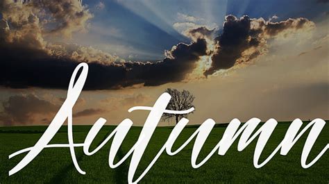 Autumn Font : Download Free for Desktop & Webfont