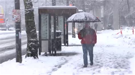 Snow In Seattle 2024 - Drucy Giralda