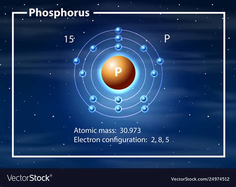 Phosphorus Atom Model Project