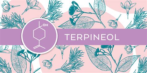 Terpene Tuesday: Terpineol — FOUR20