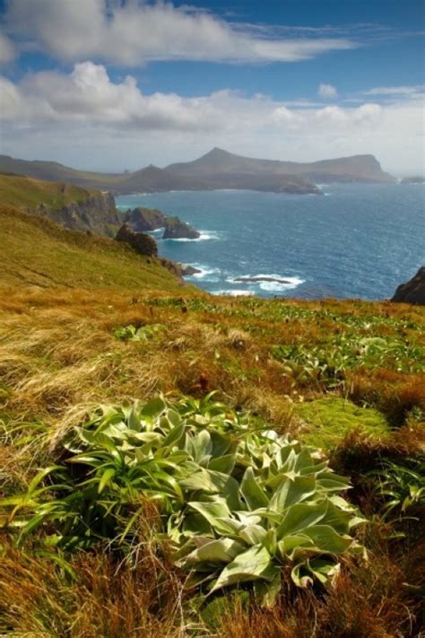 Subantarctic Islands of New Zealand & Macquarie Island Expeditions