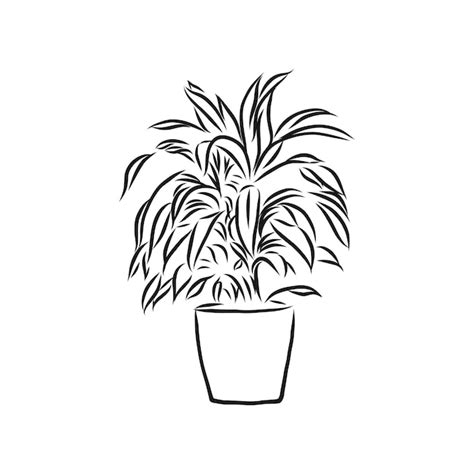 Premium Vector | Line art plant in pot isolated potted florals illustration indoor plant vector ...