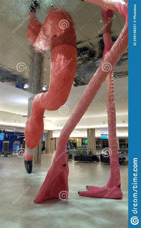 Flamingo Decoration in Tampa International Airport Terminal Editorial ...