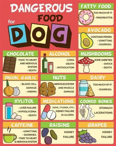 The 10 Most Dangerous Foods to Feed your Dog - Dog Breeders Guide