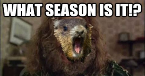 Funny Groundhog Day Memes You Can Laugh at No Matter the Forecast