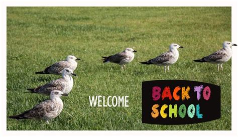Premium Photo | Back to school banner education and school concept