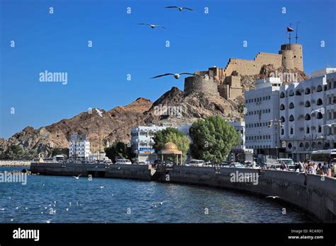 Corniche of the Muttrah district, Muscat, Oman, Arabian Peninsula ...