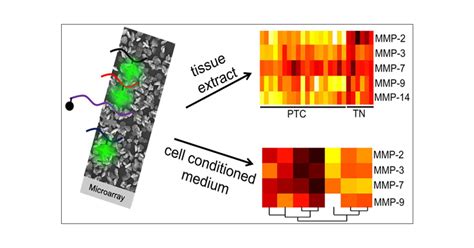 Peptide Microarray-Based Metal Enhanced Fluorescence Assay for Multiple Profiling of Matrix ...