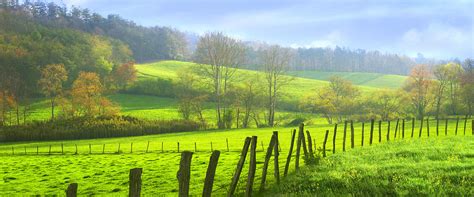 Appalachian Spring Morning Photograph by Francesa Miller | Pixels