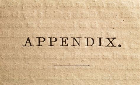 Definition of Appendix in a Book or Written Work