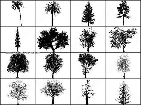 Free Photoshop Brushes Tree - https://www.123freebrushes.com/trees-nature-coco-tree-brush ...