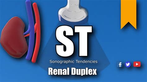 Renal Artery Duplex Anatomy, Protocol and Pathology - YouTube