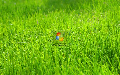 Windows Wallpaper Grass - WallpaperSafari