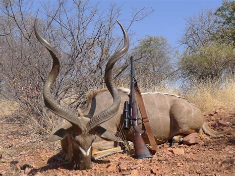 Trophy Kudu Hunting In South Africa | Big Game Hunting Adventures