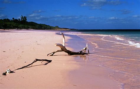 Bahamas 1989 (347) Eleuthera: Pink Sand, Harbour Island | Flickr
