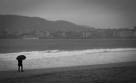 Free Images : beach, landscape, sea, coast, ocean, horizon, winter, black and white, morning ...