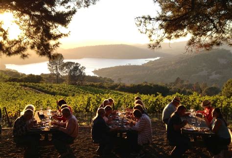 Best wine tours and trails around the world | CNN