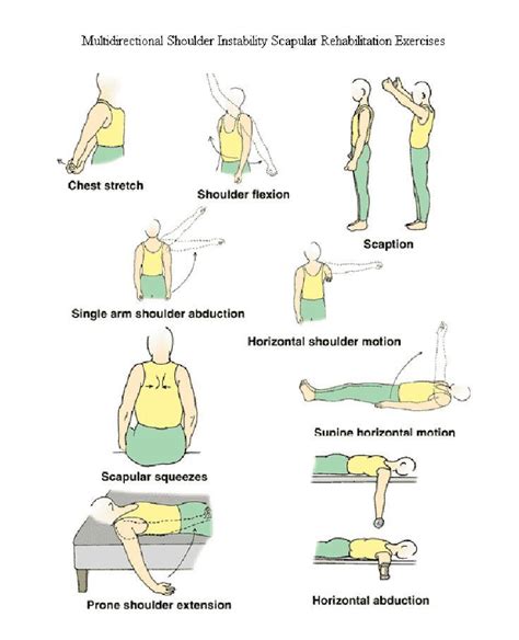 Multidirectional shoulder instability scapular rehab exercises | Physical therapy exercises ...