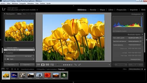 Adobe Photoshop Lightroom CC 2020 - Download per PC Gratis