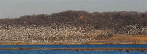 Loess Bluffs National Wildlife Refuge