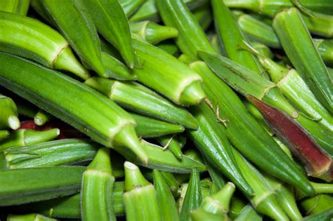 Okra on your dinner plate? Thank Indian scientists for it - BioVoiceNews