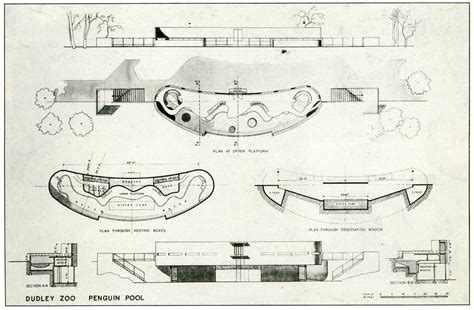 Penguins - The Conservation of Tecton Buildings at Dudley Zoo