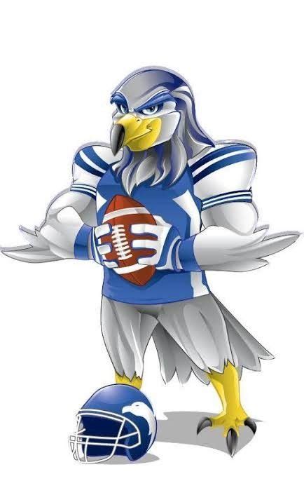 Air force falcons mascot logo history – Artofit