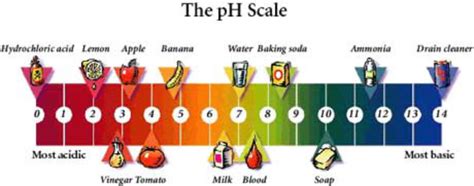 PH scale