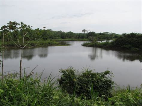 AMAZON WATCH » The Madeira River Complex, Brazil and Bolivia