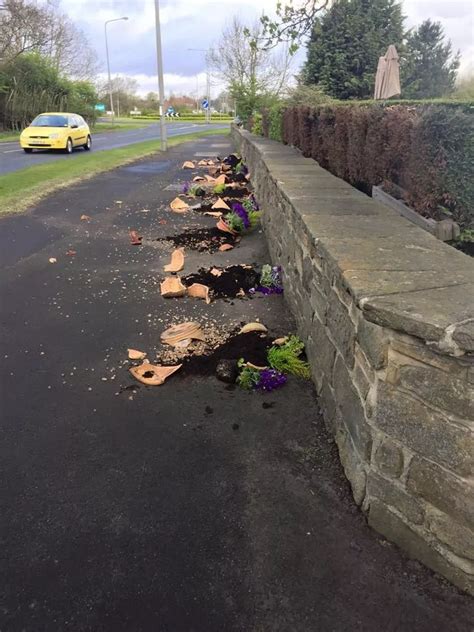 The Badger in Ponteland which had several of its planters smashed by vandals - Chronicle Live