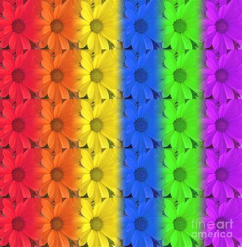 Rainbow Daisies Photograph by Kristi Kruse - Pixels