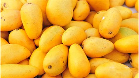 Fresh Mangoes | ubicaciondepersonas.cdmx.gob.mx