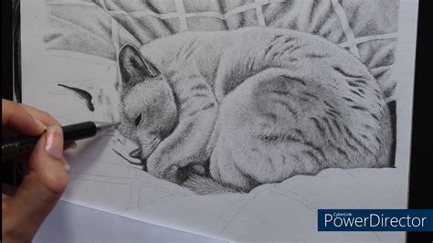 Cat Nap - Pencil Drawing -Start to Finish Time-lapse - YouTube