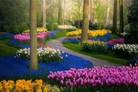 Ditutup, Begini Pemandangan Taman Bunga Terindah di Dunia Keukenhof Tanpa Pengunjung | merdeka.com