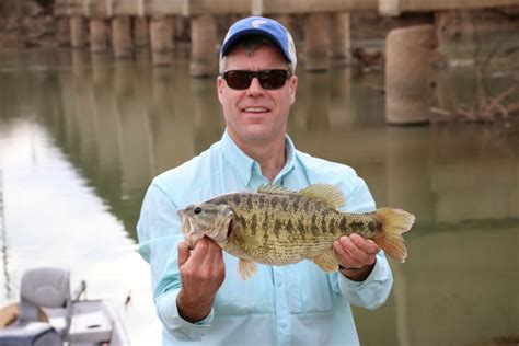 Press Release: New State Record Guadalupe Bass Caught — All Water Guides